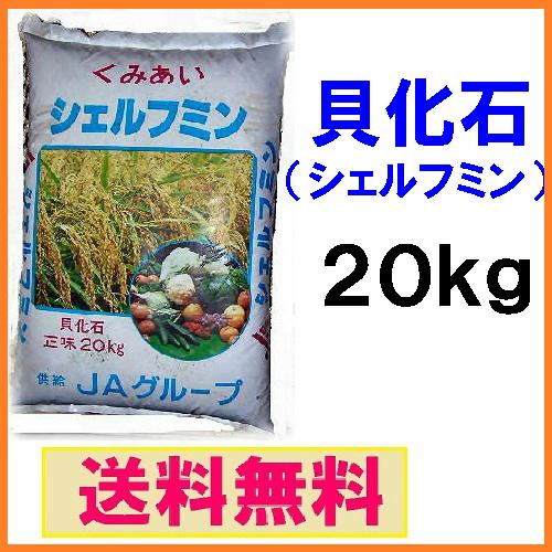 【送料無料】貝化石［シェルフミン］20kg