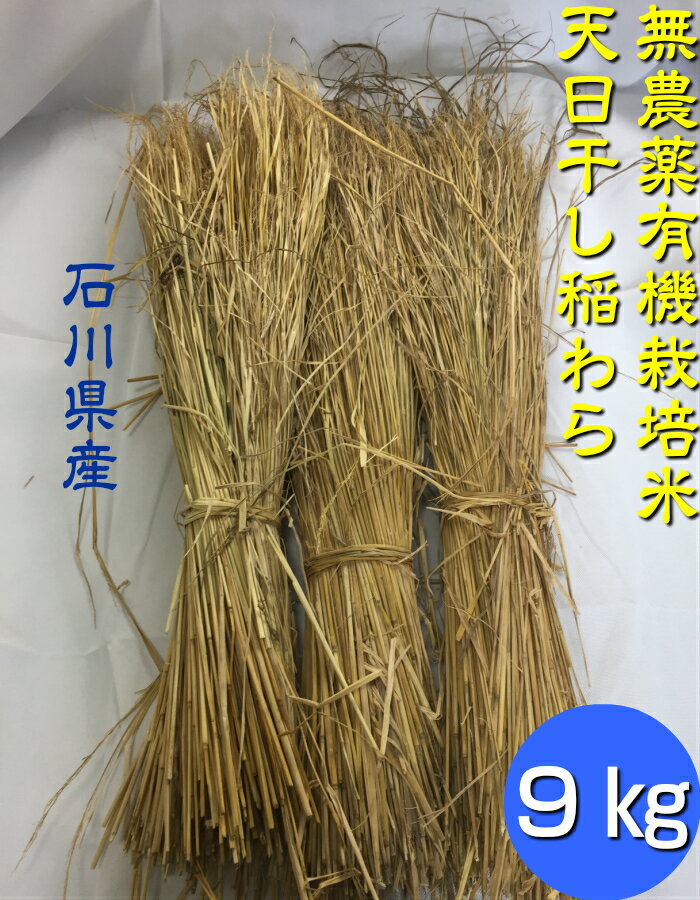 農業用 不織布 1.2m×200m×2本 400m UV剤入 保温シート 農用 防鳥ネット 防虫シート ロール 農業資材 園芸資材