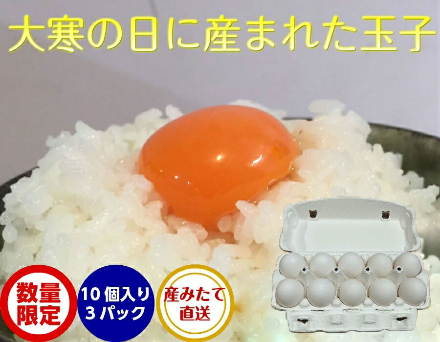 予約受付【送料無料】 大寒たまご 