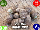 【送料無料】無農薬・JAS有機栽培 里芋「サトイモ」1kg（約20個）(送料：北海道,沖縄以外0円)