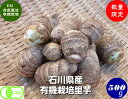 【送料無料】無農薬 JAS有機栽培 里芋「サトイモ」500g（約10個）(送料：北海道,沖縄以外0円)