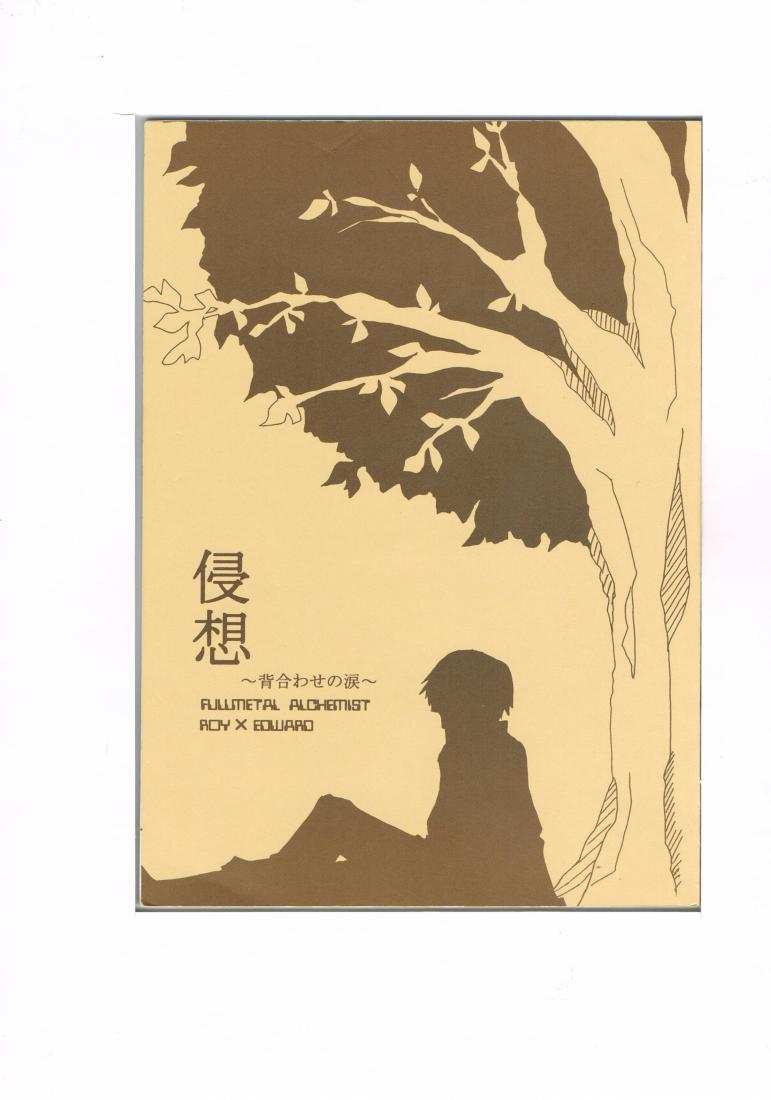 鋼の錬金術師 -侵想〜背合わせの涙〜- /星屑夜 /〈同人誌〉【中古】afb