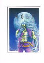 オリジナル -WOLF- /TIMEMACHINE FACTORY /〈同人誌〉【中古】afb