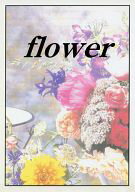 ꥸʥ -flower- /ҰT-SIDE /ҽƱͻӡšafb