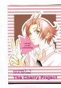 アイシールド21 -The Cherry Project- /CandyLoverGirl /〈女性向同人誌〉【中古】afb