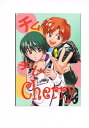 スクライド -チムチムCherry- /PTM CLUB /〈女性向同人誌〉【中古】afb