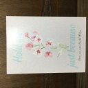 『送料無料!』名探偵コナン -Hold me just because- /OMG /〈女性向同人誌〉【中古】afb