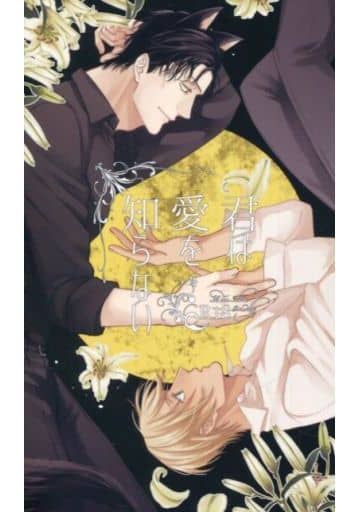 『送料無料!』名探偵コナン -君は愛を知らない- /GOHANですよ! /〈女性向同人誌〉【中古】afb