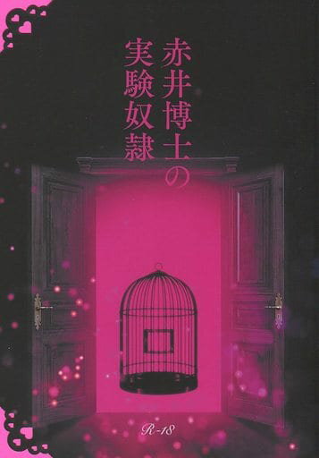 『送料無料！』名探偵コナン -赤井博士の実験奴隷- /最終面接 /〈女性向同人誌〉【中古】afb