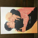 『送料無料!』名探偵コナン -ふたりで、それから- /りんごのうた。 /〈女性向同人誌〉【中古】afb