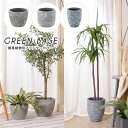 プランター おしゃれ 植木鉢 鉢植え 観葉植物をセンス良くおしゃれに飾れる! 底穴付き観葉植物用プランター GRNB-201 GRNB-203 GRNB-204...