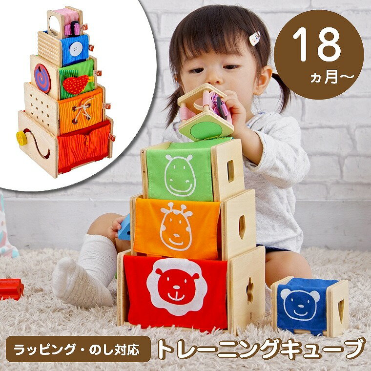 おもちゃ 型はめ 木製 布 知育玩具 1歳 プレゼント 誕生日 知育 かわいい 学習玩具 ベビー 女の子 男の子 赤ちゃん 出産祝い 孫 帰省 正月 木のおもちゃ 指先 ボタン ジッパー スライド 1歳半 1.5歳 エデュテ 18か月 Edute 一歳 オモチャ 玩具 トレーニングキューブ