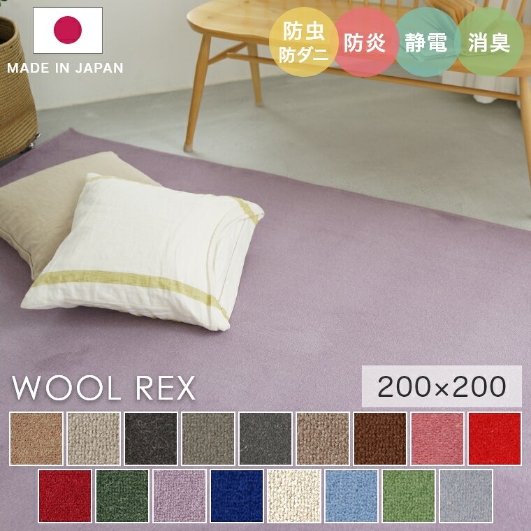 饰 ץ 2 ̵ ¿Ÿ եƥåɥ饰 ڥå 󥷥른 WOOL REX å 200200cm ߥΥ ڥå ý ɱ ŵɻ  ɥ ۥॢǥҥ cup5