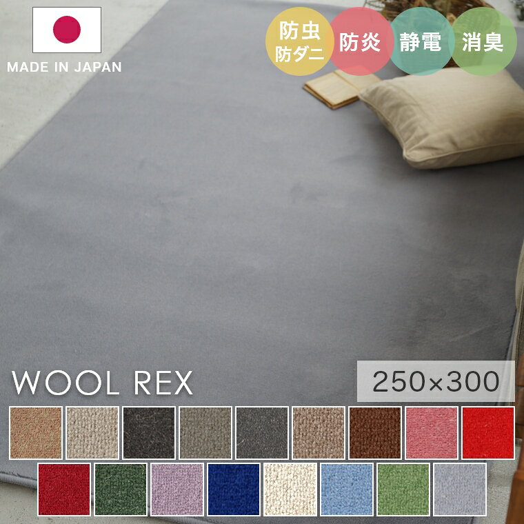 ラグ シンプル 大きめ 無地 多色展開 タフテッドラグ カーペット コンシェルジュ WOOL REX ウールレックス 250×300cm スミノエ カーペット 消臭 防炎 静電気防止 防虫 防ダニ 低ホルムアルデヒド cup5