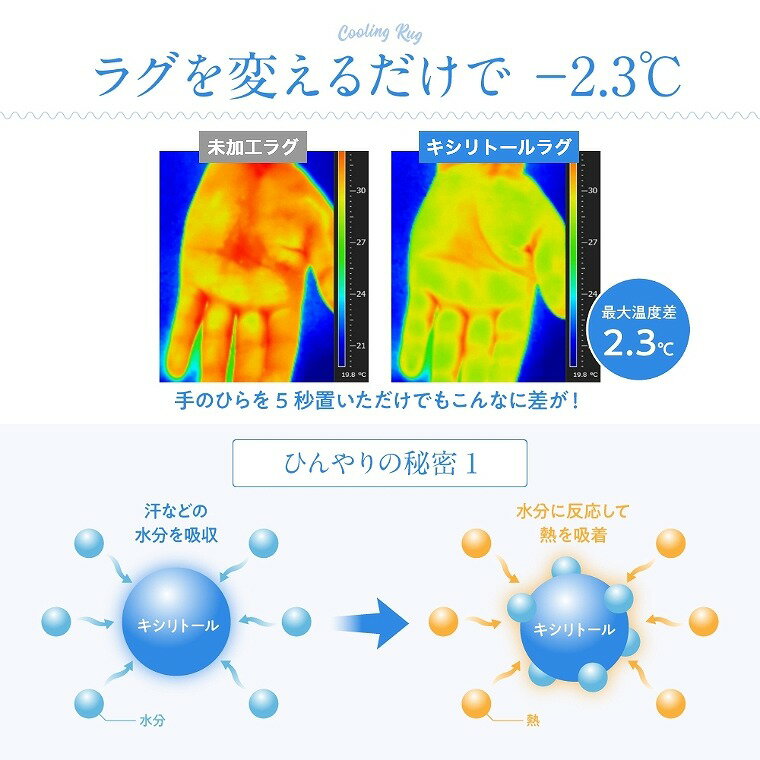 ラグマット 夏用 約2畳 マイナス2℃ 日本製 さらっとひんやり涼感ラグ（キシリトール加工）M 185×185cm(約2帖) 夏用 冷感 防ダニ 抗菌加工 ラグ ナイスデイ 冷たい 接触冷感 暑さ対策 冷却 クール 涼しい エコ 滑り止め加工 敷物 おしゃれ リビング サマーラグ