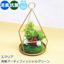 フェイクグリーン CT触媒(消臭・抗菌・防汚) 多肉植物 造花(葉っぱ) インテリアグリーン エクリア 消臭アーティフィシャルグリーン 『多角形テラリウムタイプ...
