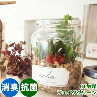 フェイクグリーン ミニ CT触媒(消臭・抗菌・防汚) 多肉植物 造花(葉っぱ) インテリアグリーン エクリア 消臭アーティフィシャルグリーン