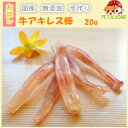 手作り牛アキレス棒20g【おやつ 犬 国産/犬 おやつ 無添加/犬 おやつ 安全/おやつ 硬い/無添加 国産】