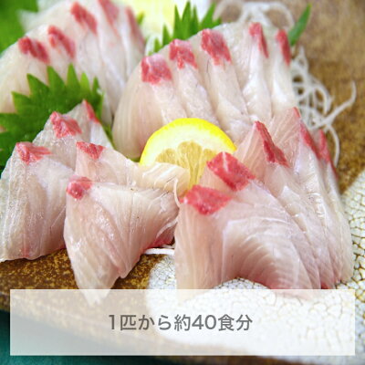 アカジンミーバイ は沖縄の高級魚 おいしい食べ方やおすすめの通販は 2ページ目 Jouer ジュエ アカジンミーバイ は沖縄の高級魚 おいしい食べ方やおすすめの通販は 2ページ目 Jouer ジュエ