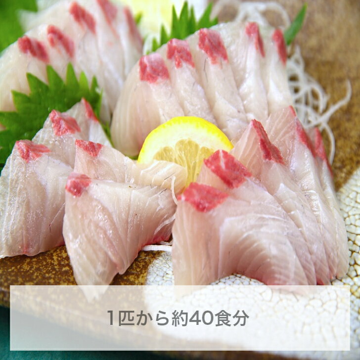 アカジンミーバイ は沖縄の高級魚 おいしい食べ方やおすすめの通販は 2ページ目 Jouer ジュエ