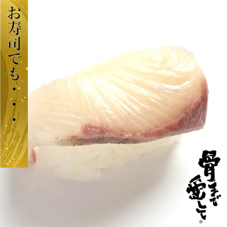 鹿児島県で養殖されたかんぱちをお届け致します レビューした方にはブリカマ黒糖煮プレゼント 養殖かんぱち カンパチ 1尾約4kgから5kg 鹿児島県産 送料無料 贅沢 内臓 100 の保証 エラ付き 丸々1匹 産地直送 勘八 忘年会 沖縄は1000円加算し 照り焼き 北海道 かんぱち
