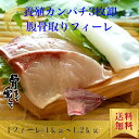 養殖かんぱち カンパチ 勘八 1枚約1kgから1.2kg 鹿児島県産 送料無料 お取り寄せ グルメ プレゼント ギフト セット おつまみ 結婚祝い 出産祝い 誕生日プレゼント 食品 食べ物 福袋 高級 海鮮 詰め合わせ ホワイトデー