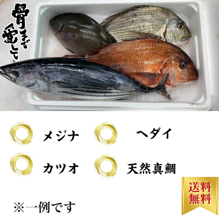 鮮魚BOX 4~5kg 時期により内容に変化あり。鹿児島県産 送料無料 お取り寄せグルメ プレゼント ギフト セット おつまみ 結婚祝い 出産祝い 誕生日プレゼント 食品 食べ物 福袋 高級 海鮮 詰め合わせ おかず セット ホワイトデー 北海道、沖縄は1000円加算しご請求致します。