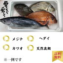 鮮魚BOX 4~5kg 時期により内容に変化あり。鹿児島県産 送料無料 お取り寄せグルメ プレゼント ギフト セット おつまみ 結婚祝い 出産祝い 誕生日プレゼント 食品 食べ物 福袋 高級 海鮮 詰め合わせ おかず セット ホワイトデー 北海道、沖縄は1000円加算しご請求致します。