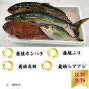 鮮魚BOX 約12kg 時期により内容に変化あり。骨まで愛して お取り寄せ グルメ プレゼント ギフト セット おつまみ 結婚祝い 出産祝い 誕生日プレゼント ...