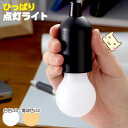 【当日発送可能】ひっぱり点灯ライト 防災グッズ ライト 地震 停電 台風 LEDライト 避難所 備蓄 車中泊 吊るせる テント アウトドア スマイルキッズ 電球型 LED フック【楽天スーパーSALE×ポイントアップ】