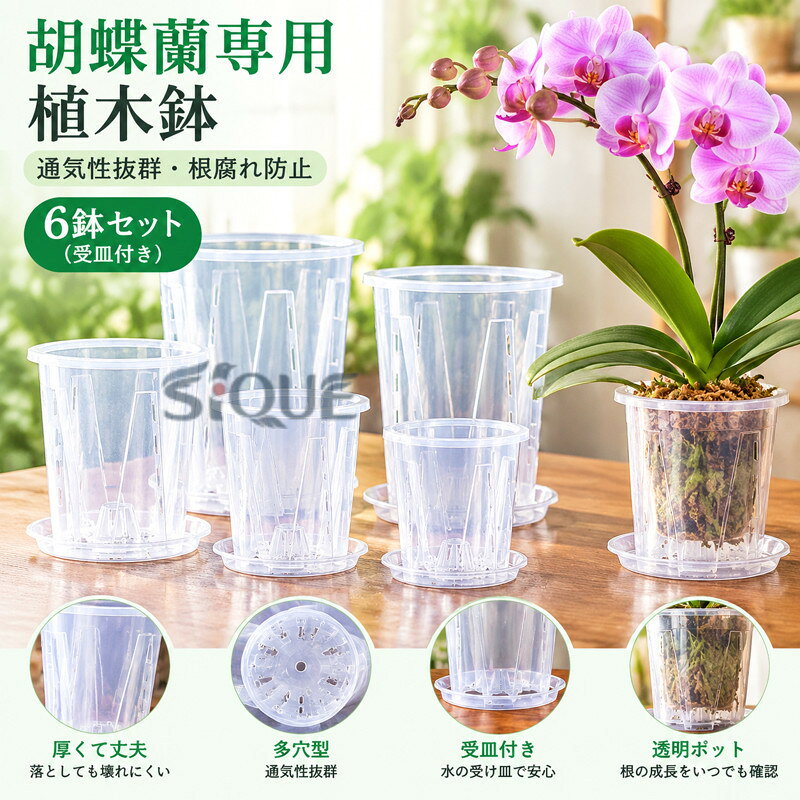 【厚くて再利用可能】厚くて丈夫で、落としても簡単に壊れたり変形したりしません。植え替え用蘭鉢はお手入れ簡単で繰り返し使えます。【排水設計】穴の開いた蘭の鉢は、蘭の自然な成長条件を模倣しています。各蘭の鉢には、植物の根に空気循環を提供し、健康な植物の成長のために余分な水を排出するための多くの排水穴があります。【クリアポット】育苗ポットは透明で、いつでも植物の根の成長や土の水分を観察できます。従来のセラミック ポットと比較して、クリア オーキッド ポットは初心者がランを育てるのに適しており、水やりの量を簡単に制御できます。【ガーデニング愛好家の好意透明な苗ポットとソーサーは、毎日のガーデニングのニーズを満たすか、他の人と共有するための非常に価値のあるパックです。それらは簡単な移植を可能にし、ガーデニング愛好家にとって大きな恩恵をもたらします。【室内外兼用】屋内外問わず、クリア苗ポットを手軽に置けます。この蘭鉢があれば、新しい鉢で蘭が元気に育っている様子を自由に見ることができます。 サイズ 直径10cm 直径12cm 直径14cm 直径16cm サイズについての説明 サイズ：【直径10cm】口径10cm 高さ12cm 底径7.5cm【直径12cm】口径12cm 高さ14.2cm 底径9cm 【直径14cm】口径14cm 高さ16.5cm 底径10.5cm【直径16cm】口径16cm 高さ18.5cm 底径12cm※サイズ計測には誤差が生じます。 素材 プラスチック 色 6鉢セット(受皿付き) 備考 ●サイズ詳細等の測り方はスタッフ間で統一、徹底はしておりますが、実寸は商品によって若干の誤差(1cm〜3cm )がある場合がございますので、予めご了承ください。 ●製造ロットにより、細部形状の違いや、同色でも色味に多少の誤差が生じます。 ●パッケージは改良のため予告なく仕様を変更する場合があります。 ▼商品の色は、撮影時の光や、お客様のモニターの色具合などにより、実際の商品と異なる場合がございます。あらかじめ、ご了承ください。 ▼生地の特性上、やや匂いが強く感じられるものもございます。数日のご使用や陰干しなどで気になる匂いはほとんど感じられなくなります。 ▼同じ商品でも生産時期により形やサイズ、カラーに多少の誤差が生じる場合もございます。 ▼他店舗でも在庫を共有して販売をしている為、受注後欠品となる場合もございます。予め、ご了承お願い申し上げます。 ▼出荷前に全て検品を行っておりますが、万が一商品に不具合があった場合は、お問い合わせフォームまたはメールよりご連絡頂けます様お願い申し上げます。速やかに対応致しますのでご安心ください。 【原産国／製造国: 中国】 .期間5% 、6鉢セット、胡蝶蘭専用植木鉢、胡蝶蘭の植え替え、受皿付き、chitose1、多穴型、通気性抜群、根腐れ防止、直径10cm、直径12cm、直径14cm、直径16cm、排水穴付き、プラスチック鉢、鉢植え、園芸用品、洋蘭鉢、ラン鉢、植え替え用品、ガーデニング用品、室内園芸、植物用鉢、通気鉢、排水性、家庭菜園、人気、おすすめ、ランキング、 商品です。。 指定された配送時間は承っておりません。【オネストワン】
