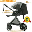 【ゴールデンウイーク期間中限定3000円クーポン割引 レビュー プレゼント7点進呈】ベビーカー バギー a型 新生児~36か月 背面 対面 双方向走行 大車輪 ...