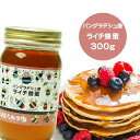 【20％OFF】バングラデシュ産純粋ライチはちみつ 300g 蜂蜜 ハチミツ ハニー はちみつ 非加熱 【まとめ買いSALE対象商品】 〔Honey House〕