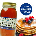 フランス産純粋ヒマワリはちみつ 1000g 送料無料 ヒマワリ蜂蜜 ヒマワリはちみつ ヒマワリ フランス産 蜂蜜 外国産 ハニー はちみつ 非加熱  〔Honey House〕