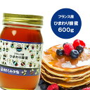 フランス産純粋ヒマワリはちみつ 600g 送料無料 ヒマワリ蜂蜜 ヒマワリはちみつ ヒマワリ フランス産 蜂蜜 外国産 ハニー はちみつ 非加熱 【まとめ買いS...