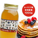 ルーマニア産純粋百花はちみつ 1000g 送料無料 百花はちみつ ルーマニア産 蜂蜜 外国産 ハニー はちみつ 非加熱 〔Honey House〕bfワンダフルデー