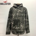 yyΉzHOLLISTERSWEAT HOODIEzX^[XEFbgp[J[XEFbgt[fB[yCY[vg322-221-1223-908Ao[Nr[tBb`AJt