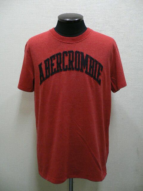 Abercrombie&FitchSHORT-SLEEVE123-238-2031-520ア