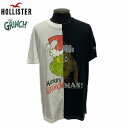 HOLLISTERDr,Seuss ホリスタードクタースースグリンチ切り替え半袖Tシャツ323-243-3176-901コラボレーション正規店購入品