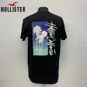 HOLLISTERBACK PRINT T-SHIRTSホリスターバックプリント半袖Tシャツ323-243-2911-900サーフ、カリフォルニア正規店購入品