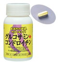 グルコサミン&コンドロチン 体感性で売れてます!