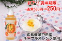 【訳アリ】つぶつぶネーブル480g 賞味期限2020年11月