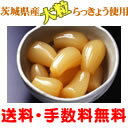おかずの一品や晩酌のお供に【送料無料!】無添加 蜜らっきょう はちみつ屋が作った蜂蜜漬け(茨城県産らっきょう使用)
