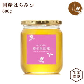 生産直売★養蜂場から直接お届け！国産 はちみつ 春の里山蜜 600g 蜂蜜 ハチミツ 純粋 非加熱 完熟 生はちみつ 産地直送 2023年 新蜜 岐阜県産 5月の新緑の頃の里山に咲くの花( レンゲ・エゴノキ・フジなど)のみずみずしい香り 備蓄 非常食 保存食にも◎