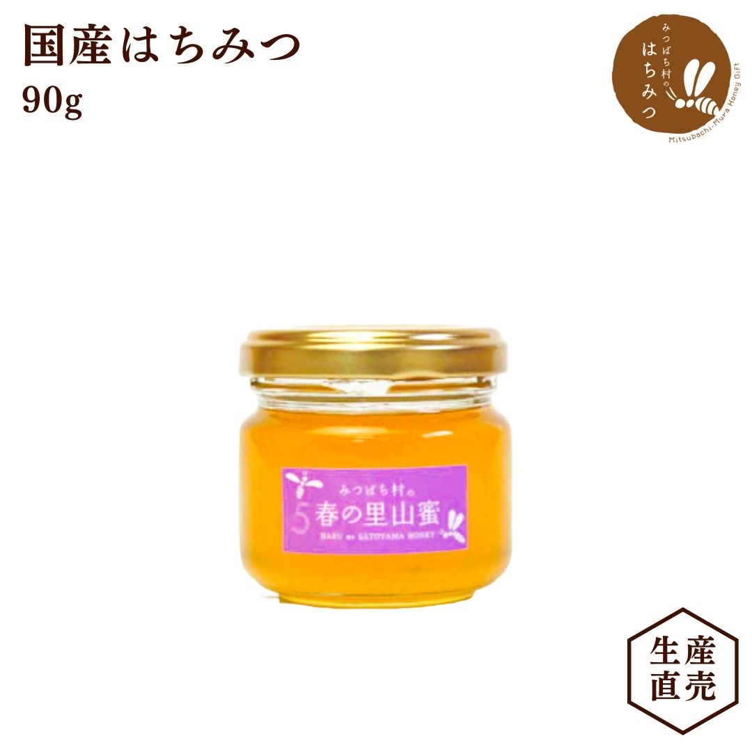 国産 はちみつ 春の里山蜜 90g 蜂蜜 ハチミツ 純粋 非加熱 生産直売 岐阜県産