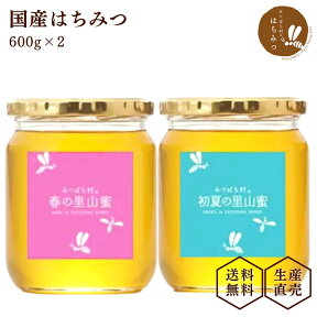 養蜂場から産地直送! 国産 蜂蜜 選べる600g2本セット はちみつ ハチミツ 非加熱 純粋 完熟 生はちみつ 送料無料 生産直売 岐阜県産 母の日 父の日の贈り物に！備蓄 非常食 保存食にも◎