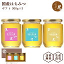 養蜂場から産地直送! 【国産はちみつ 300g3本入 ギフト】 蜂蜜 ハチミツ 非加熱 純粋 完熟 生はちみつ 日本製 岐阜県産 生産直売 ギフト箱入り 贈り物...