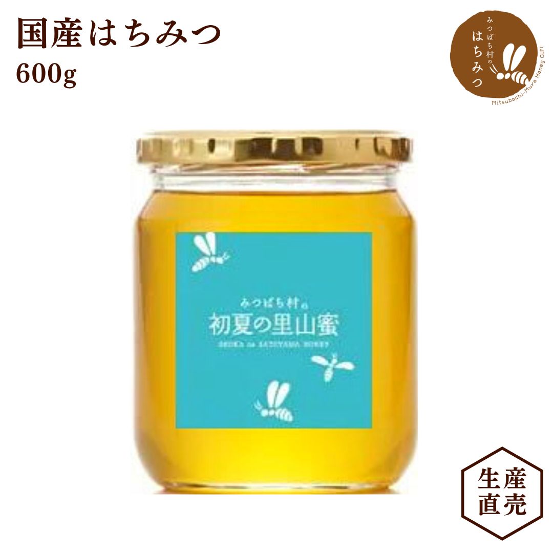 養蜂場から産地直送★ 国産はちみつ 初夏の里山蜜 600g 蜂蜜 ハチミツ 非加熱 純粋 完熟 2023年 生産直売 岐阜県産 ソ…