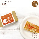 国産 みつばち村の巣蜜 すみつ 巣みつ コムハニー comb honey 岐阜県産 完熟蜂蜜がギッシリ！はちみつ ハチミツ 蜂蜜 非加熱 純粋 生はちみつ 生産直売 産地直送