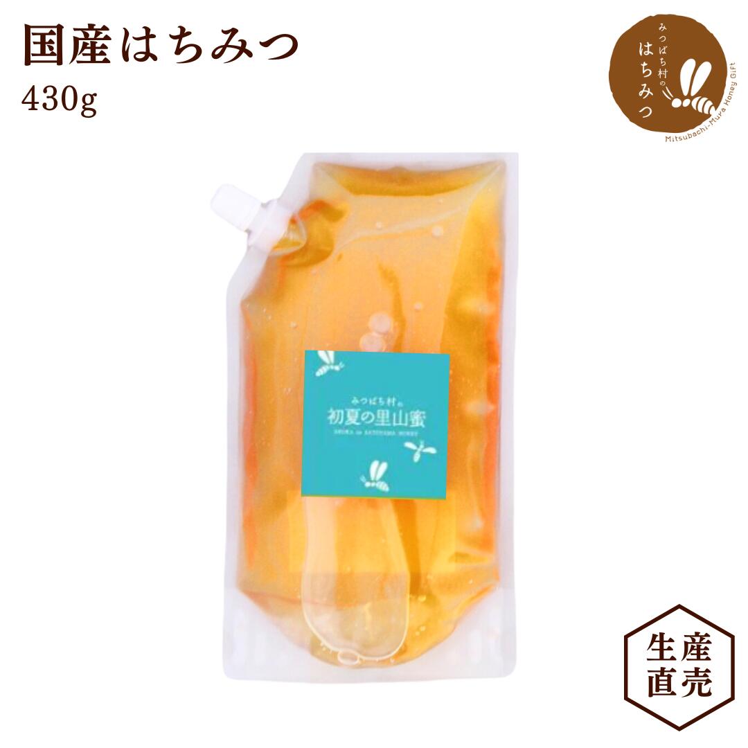 【沖縄・離島の方専用】養蜂場から産地直送★ 国産 はちみつ 詰め替え用 430g 蜂蜜 ハチミツ 非加熱 純粋 完熟 生はちみつ 生産直売 リフィル パウチ スタンドパック ポスト投函